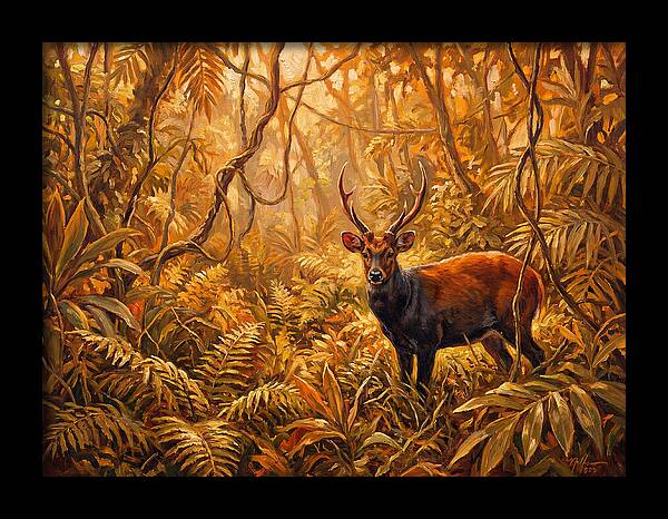 Hog Deer In Lush Wilderness