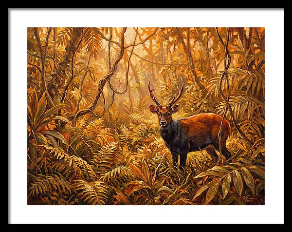 Hog Deer In Lush Wilderness