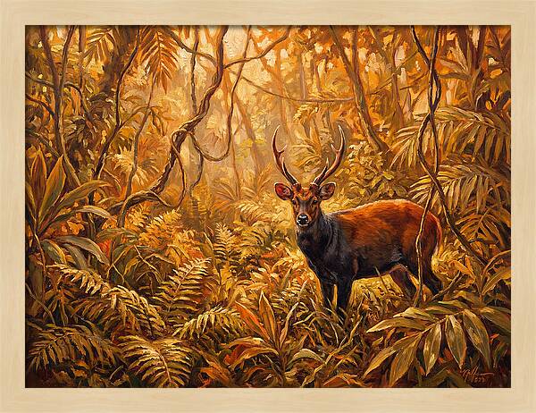 Hog Deer In Lush Wilderness