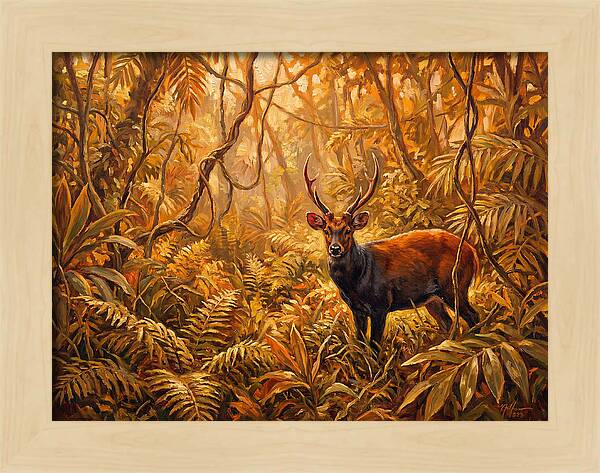 Hog Deer In Lush Wilderness