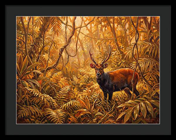 Hog Deer In Lush Wilderness