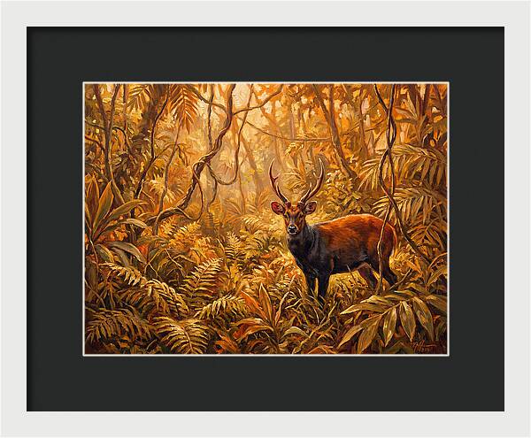 Hog Deer In Lush Wilderness