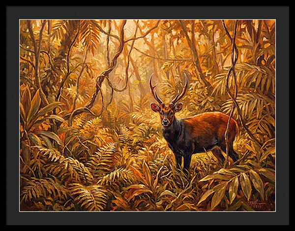 Hog Deer In Lush Wilderness