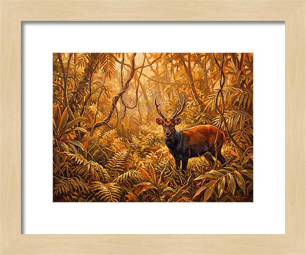 Hog Deer In Lush Wilderness
