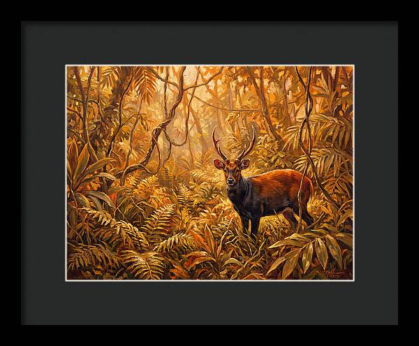 Hog Deer In Lush Wilderness