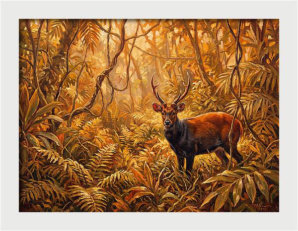 Hog Deer In Lush Wilderness