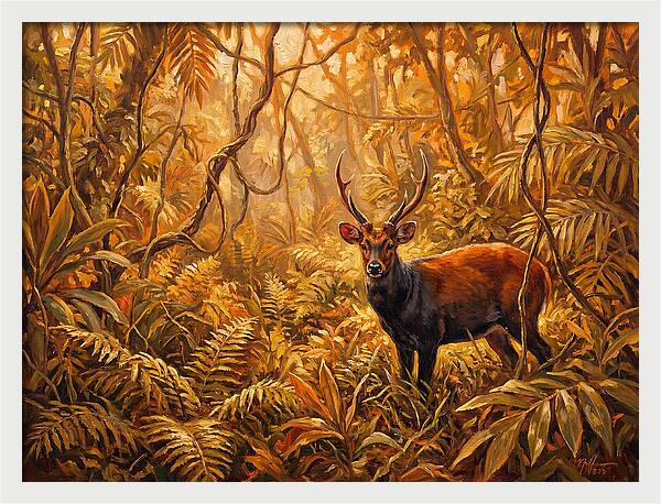 Hog Deer In Lush Wilderness