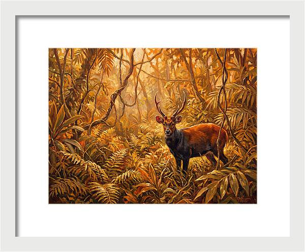 Hog Deer In Lush Wilderness