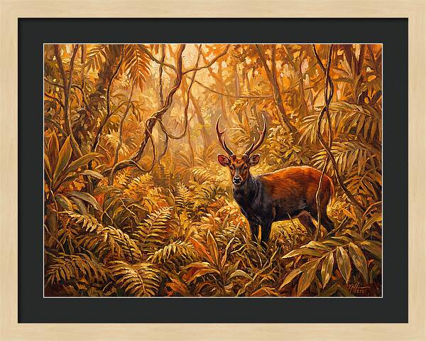 Hog Deer In Lush Wilderness