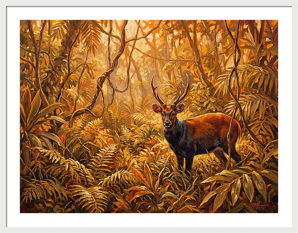 Hog Deer In Lush Wilderness