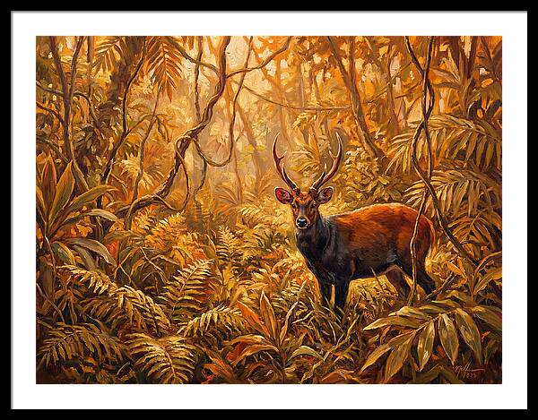 Hog Deer In Lush Wilderness
