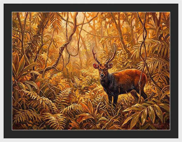Hog Deer In Lush Wilderness