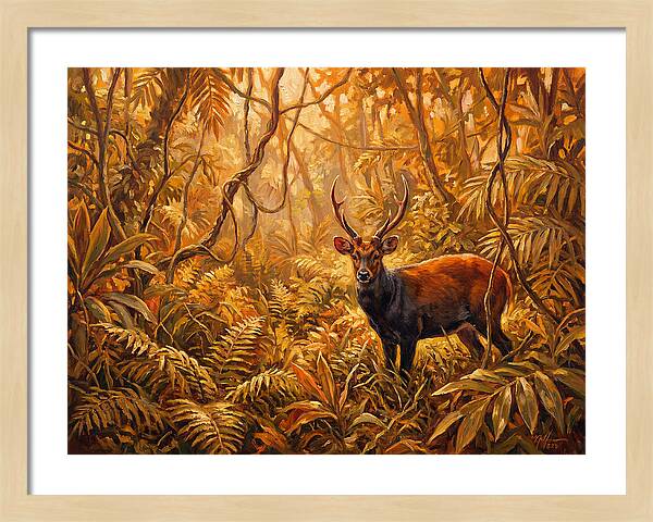 Hog Deer In Lush Wilderness