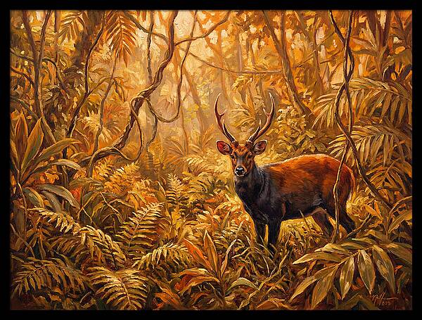 Hog Deer In Lush Wilderness