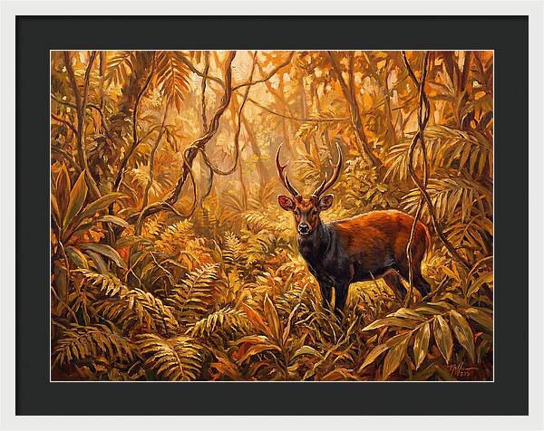 Hog Deer In Lush Wilderness