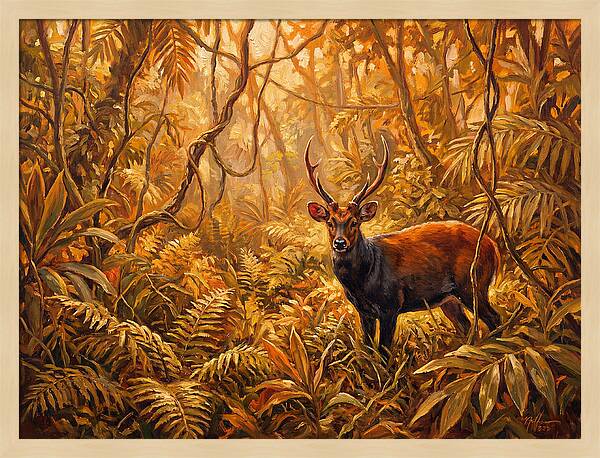Hog Deer In Lush Wilderness