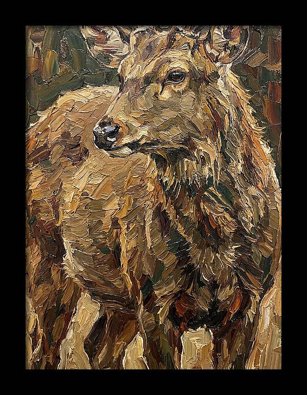 Hog Deer In Natural Habitat