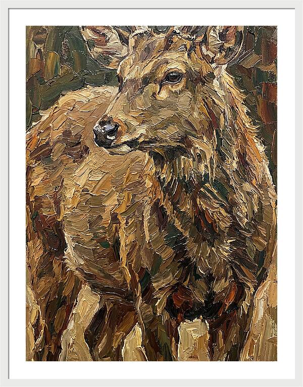 Hog Deer In Natural Habitat