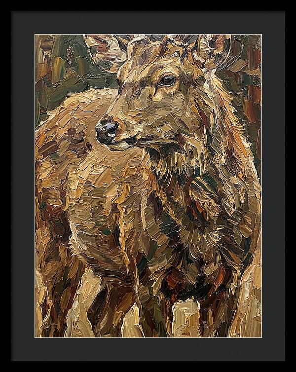Hog Deer In Natural Habitat