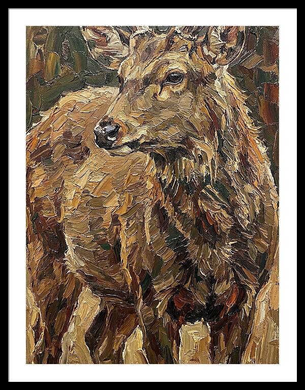 Hog Deer In Natural Habitat