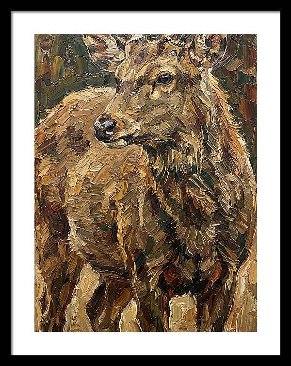 Hog Deer In Natural Habitat
