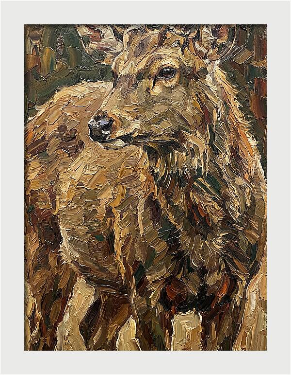 Hog Deer In Natural Habitat