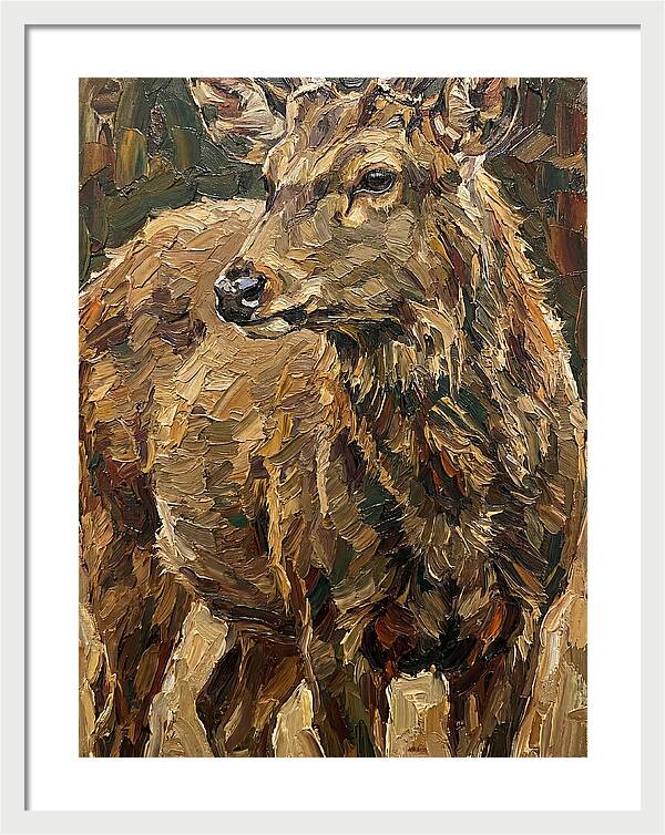 Hog Deer In Natural Habitat