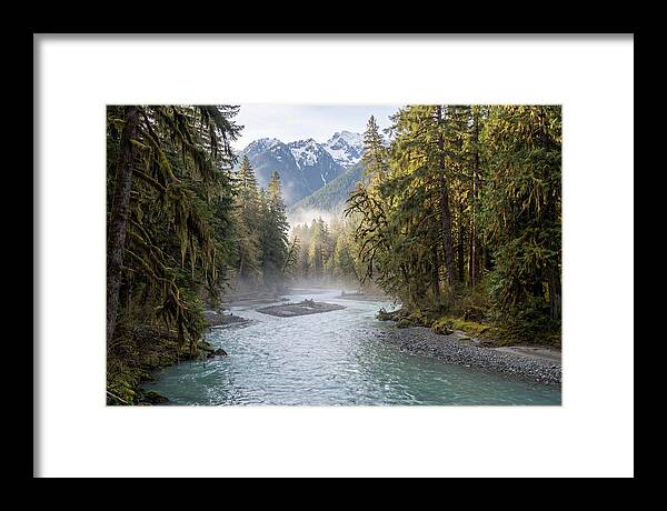 Hoh River Valley Serenity