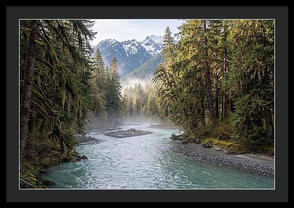 Hoh River Valley Serenity