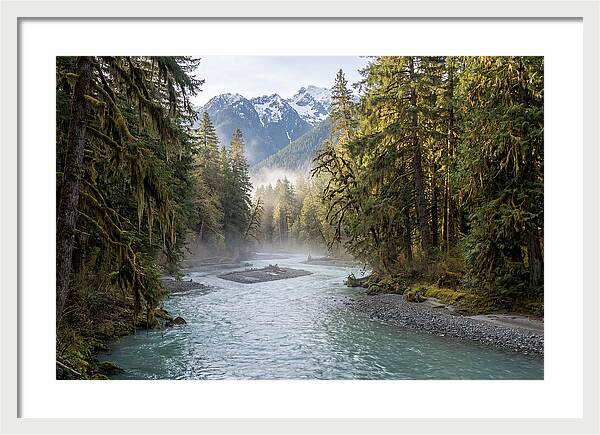 Hoh River Valley Serenity