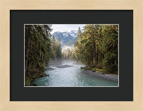 Hoh River Valley Serenity
