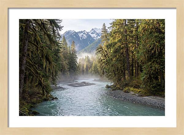 Hoh River Valley Serenity
