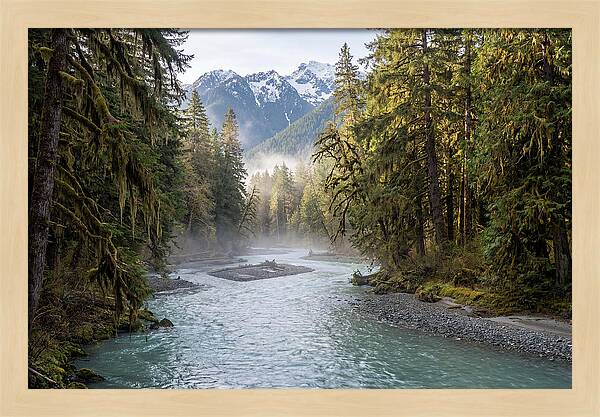 Hoh River Valley Serenity