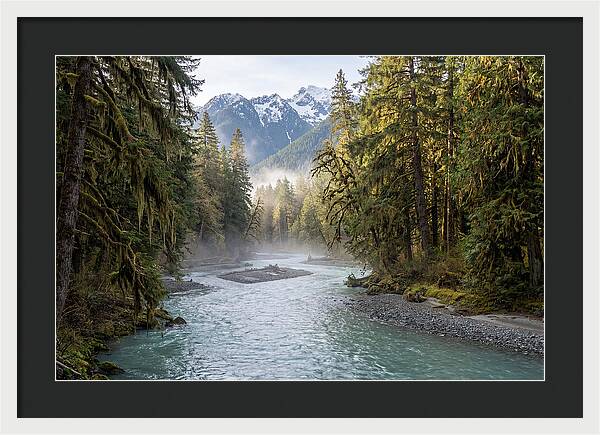 Hoh River Valley Serenity
