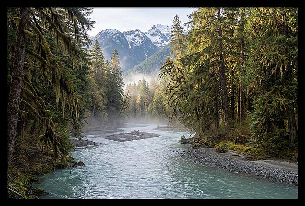 Hoh River Valley Serenity