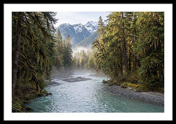 Hoh River Valley Serenity