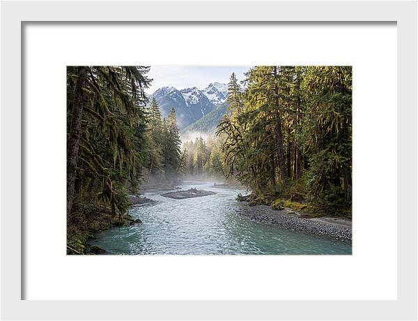 Hoh River Valley Serenity