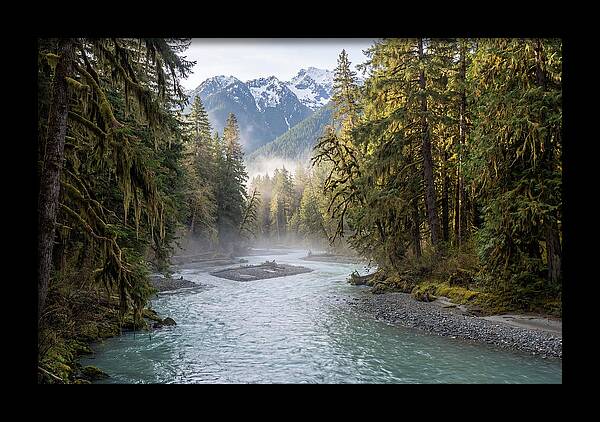 Hoh River Valley Serenity