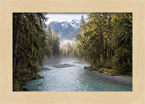 Hoh River Valley Serenity