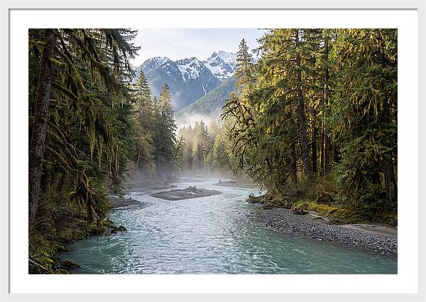 Hoh River Valley Serenity