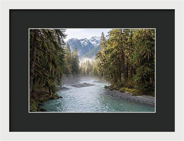 Hoh River Valley Serenity