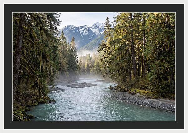 Hoh River Valley Serenity