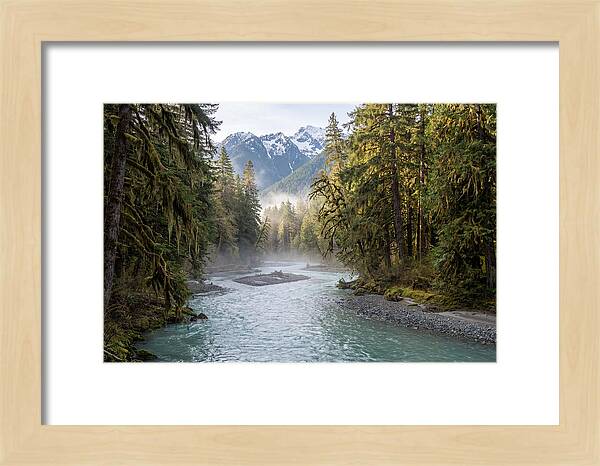 Hoh River Valley Serenity