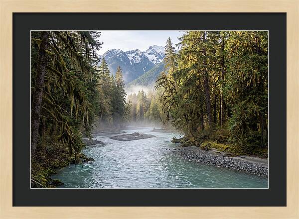 Hoh River Valley Serenity