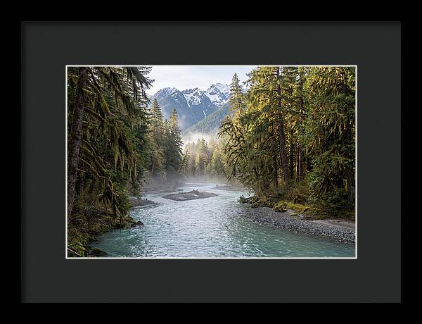 Hoh River Valley Serenity