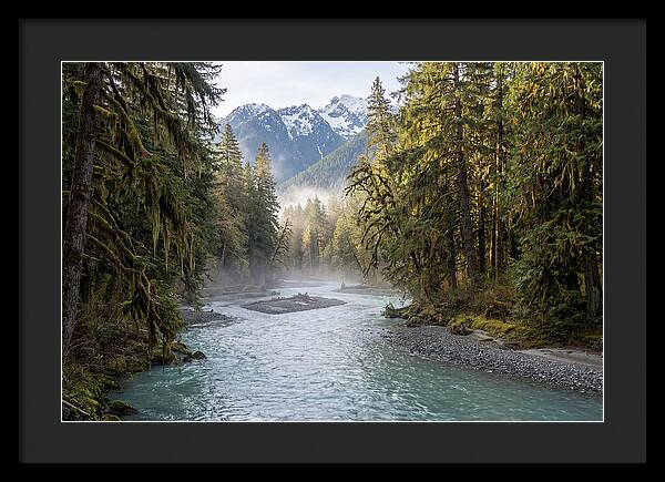 Hoh River Valley Serenity