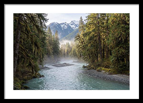 Hoh River Valley Serenity