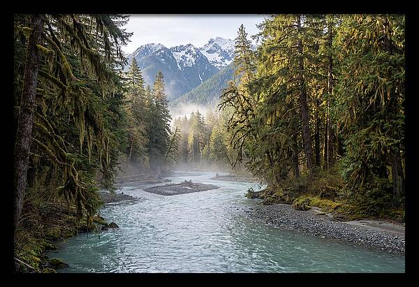 Hoh River Valley Serenity