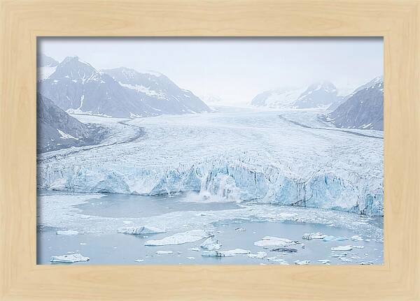 Holgate Glacier Landscape
