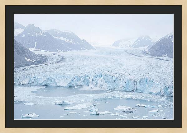 Holgate Glacier Landscape